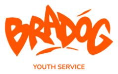 Bradóg Youth Service logo