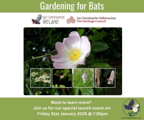 Gardening for Bats poster