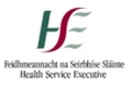 HSE logo