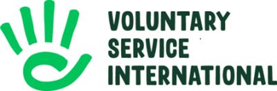 VSI logo